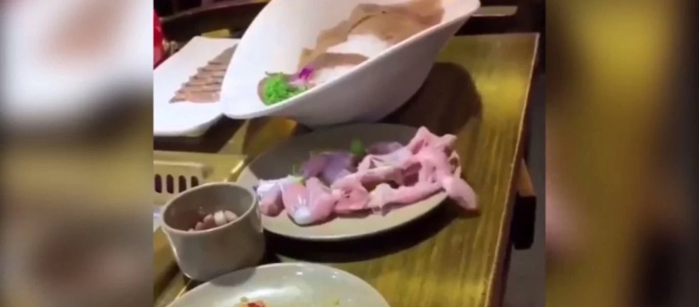 Κοτόπουλο «ζόμπι» κινείται μπροστά στα έκπληκτα μάτια πελατών εστιατορίου